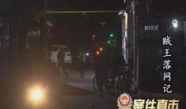 贼王最新爆料视频,最新爆料视频深度解析