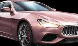 和平精英最新爆料玛莎,玛莎惊喜亮相，全新玩法等你来战！