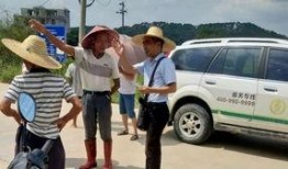 沙河村最新爆料,揭秘乡村发展背后的故事