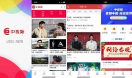 惠州清风网最新爆料视频,揭秘惠州某重大事件内幕