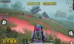 和平精英最新版本大爆料,全新内容大曝光，战局再升级！